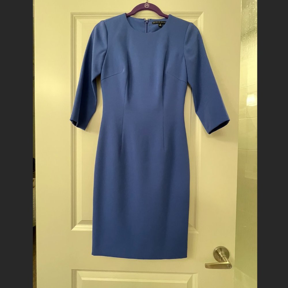 Antonio Melani Sheath Dress Size 0